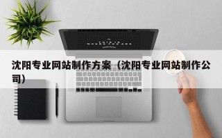 昭通沈阳专业网站制作方案（沈阳专业网站制作公司）